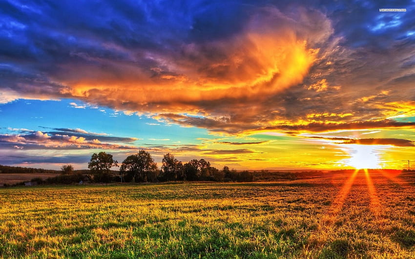 sunset on the prairie, prairie, grass, field, sunset HD wallpaper