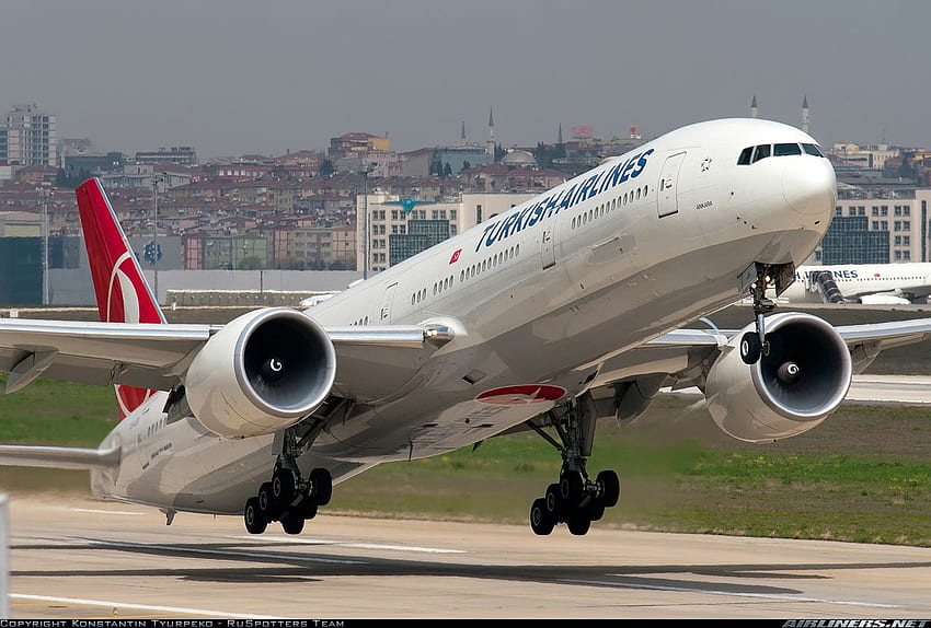 Idee delle compagnie aeree turche. compagnie aeree turche, compagnie aeree, turco Sfondo HD
