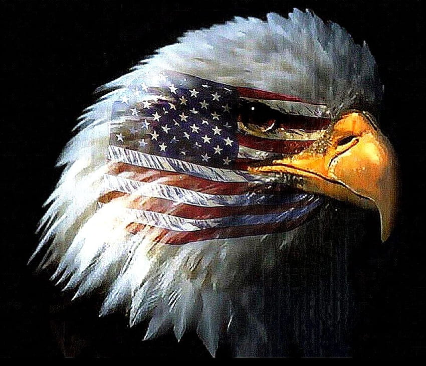 Lo mejor: la bandera estadounidense del águila calva fondo de pantalla