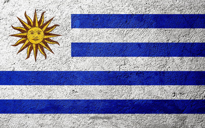 Flag of Uruguay, concrete texture, stone HD wallpaper