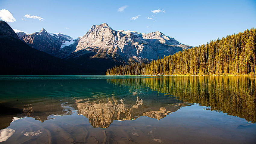 สะท้อนบน Emerald Lake, Yoho National Park, British Columbia, ภูเขา, น้ำ, แคนาดา, ต้นไม้, ท้องฟ้า, ป่าไม้ วอลล์เปเปอร์ HD