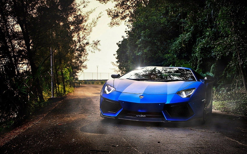 Lamborghini In For And - Car Lamborghini - -, Cool Blue Cars HD wallpaper