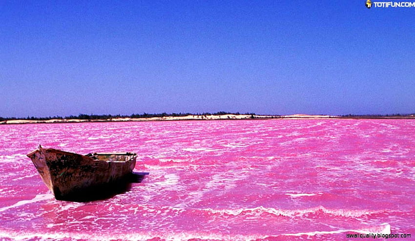 Erstaunlicher Pink Lake Place, Senegal HD-Hintergrundbild