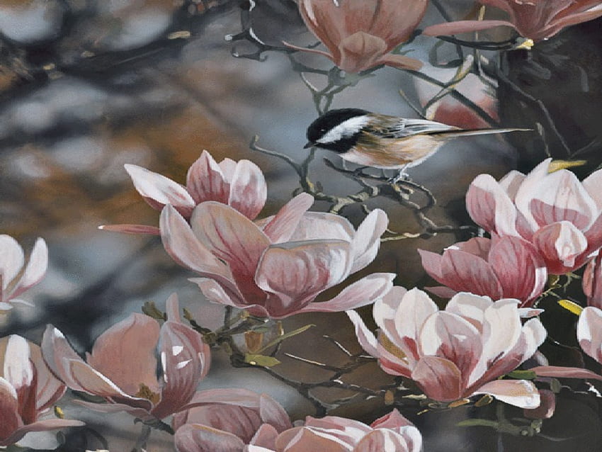 In the Pink, pink magnolias, chickadee, bird, tree HD wallpaper