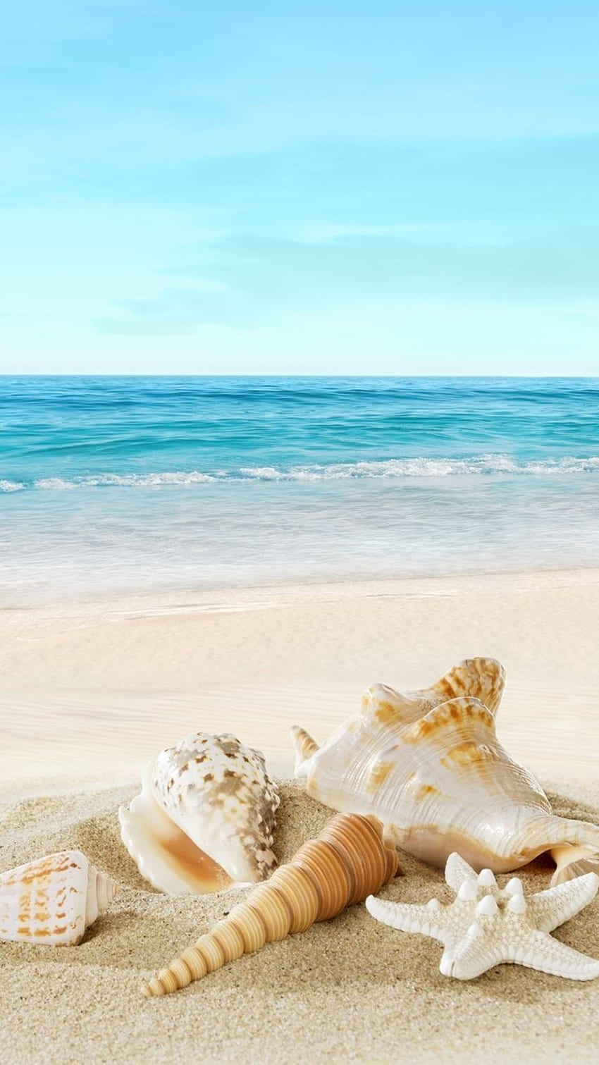 Hình nền điện thoại bãi biển HD với làn nước trong xanh và cát trắng mịn sẽ khiến cho bạn cảm thấy sảng khoái và thư thái. Hãy chiêm ngưỡng cảnh biển đẹp và cảm nhận sức mạnh của thiên nhiên trước khi cham cứng lại cuộc sống bận rộn của mình.