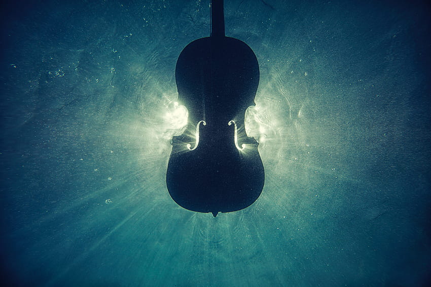 black violin on underwater digital – Light on Unsplash, Fiddle HD wallpaper