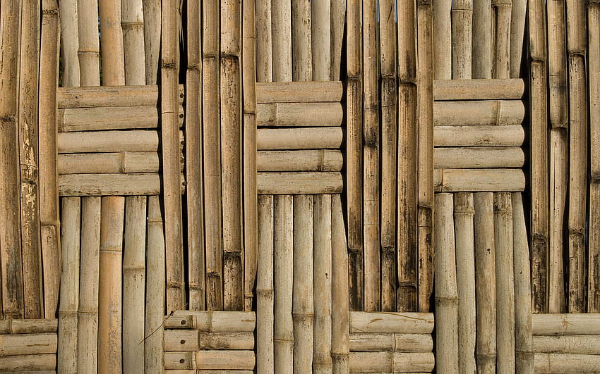 Jeffrey Friedl’s Blog Vine and Bamboo Again (With Background), Bamboo