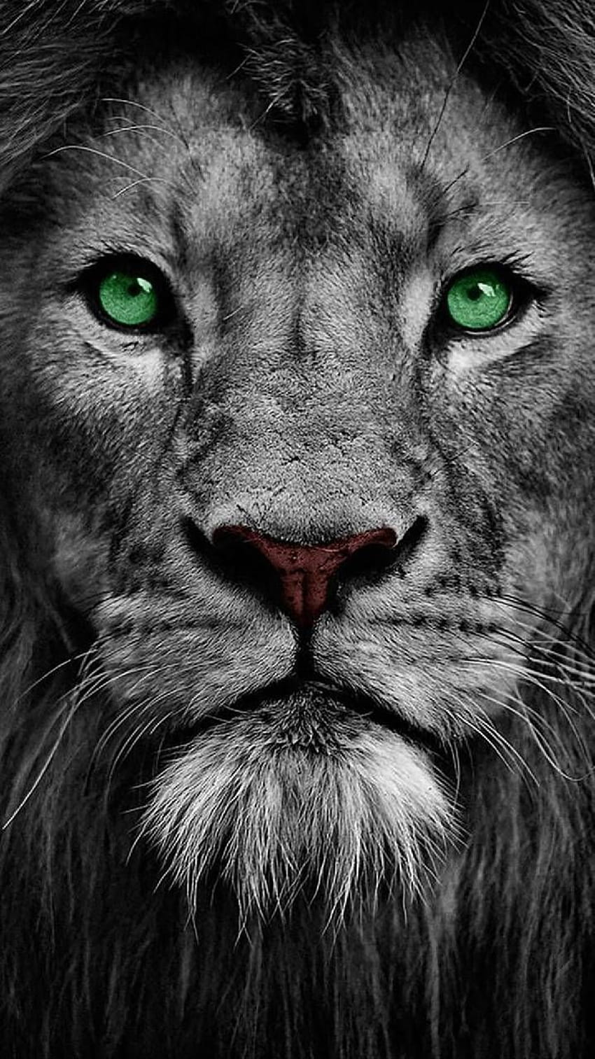 Sé maravilloso y valiente como un león. fondo de pantalla del teléfono