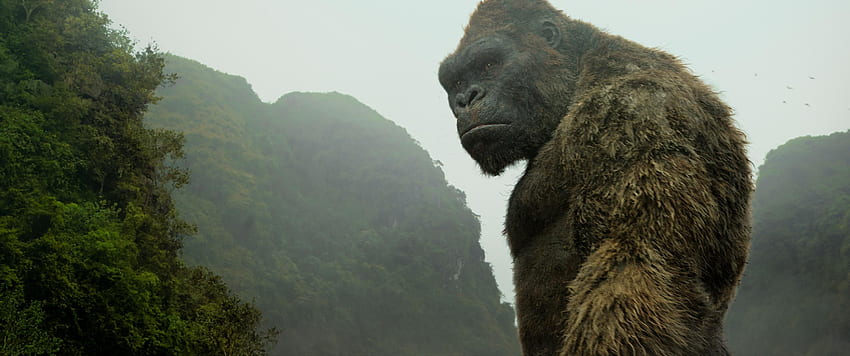 Kong: Isla Calavera. fondo de pantalla