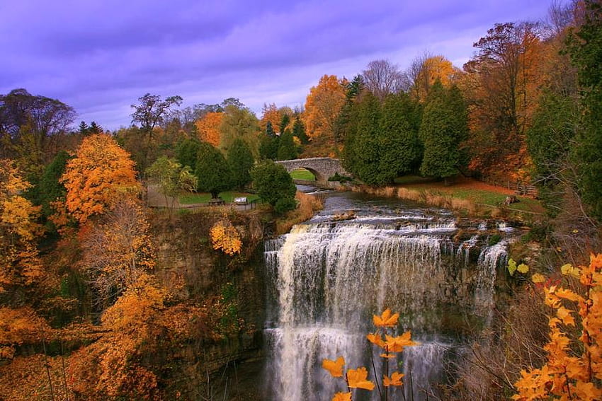 Aguas de otoño, cielo azul, árboles, otoño, cascadas, naranja, oro, bosque fondo de pantalla