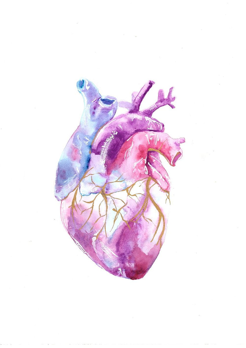 del cuore. Arte medica, arte dell'anatomia, arte del cuore Sfondo del telefono HD
