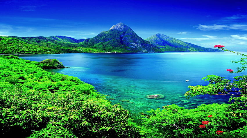 St.Lucia Paese nella costa caraibica spiagge vulcaniche resort di lusso foresta pluviale villaggi di pescatori Android Per il tuo telefono, Scenario caraibico Sfondo HD