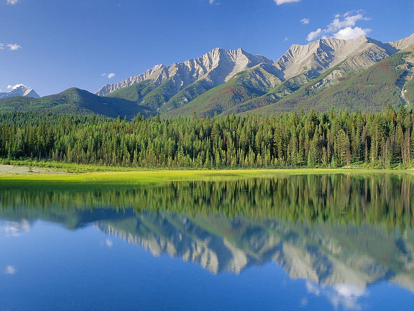 Nature, Trees, Mountains, Lake, Canada, National Park, British Columbia, Dog Lake HD wallpaper