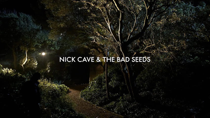 Nick Cave And The Bad Seeds – “Give Us A Kiss” HD wallpaper