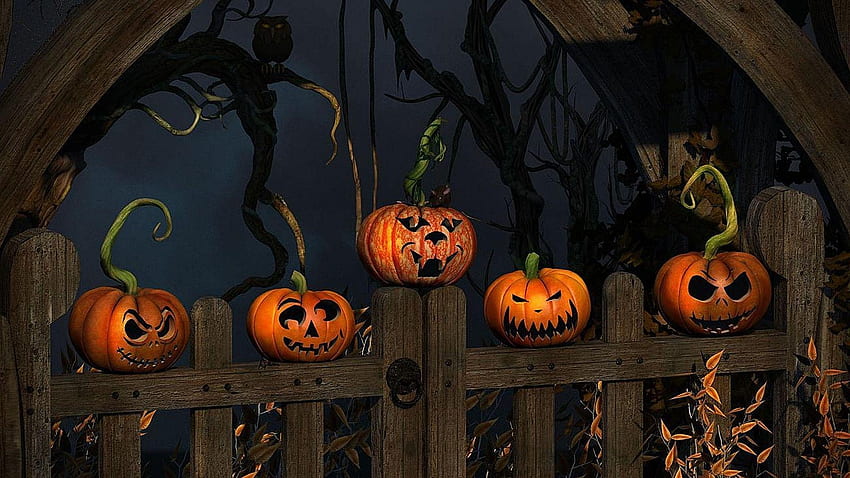 Pumpkin Guard, halloween, hallows eve, Pumpkins, guard HD wallpaper