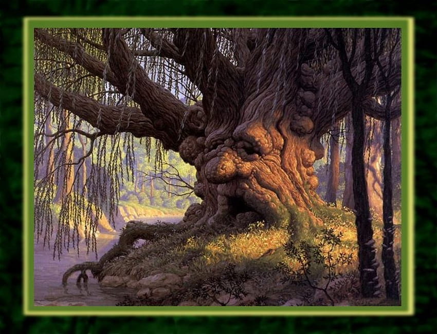 Wise Ol' Tree, wise, ファンタジー, man, nature, tree 高画質の壁紙