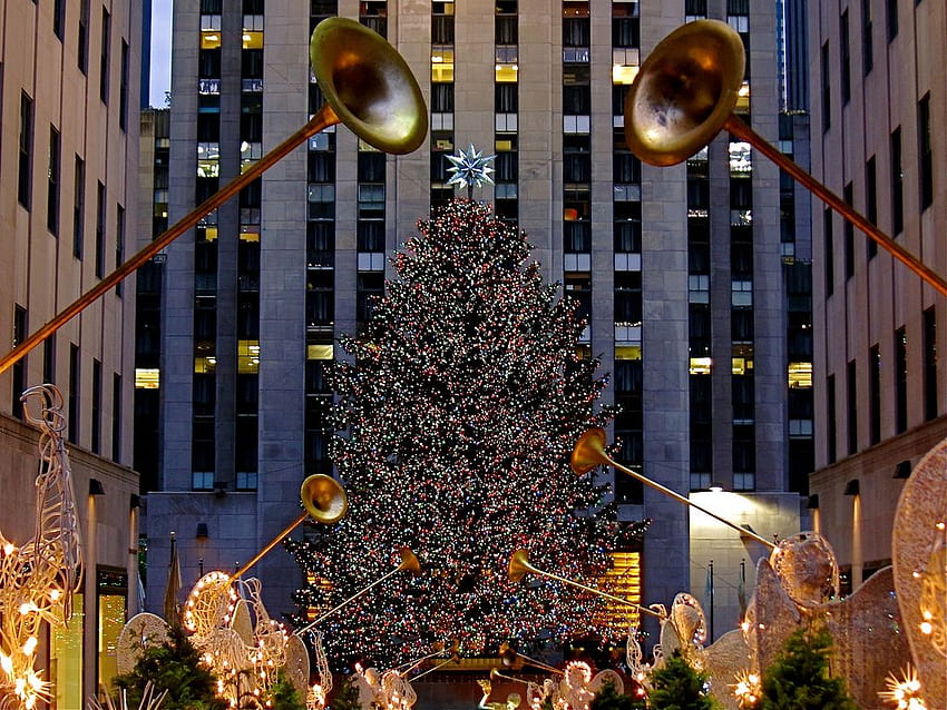 Acontecimientos navideños irresistibles en Nueva York - Action Car Rental, New York Times Square Christmas Tree fondo de pantalla