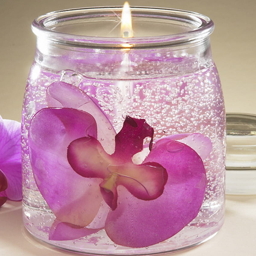 orchid candle, pink, candle, glass, orchid, gel HD wallpaper