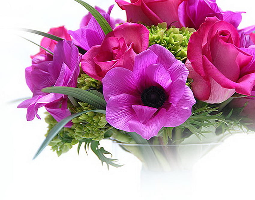 Kebahagiaan, bunga poppy, ungu, merah muda, mawar, cerah, hijau Wallpaper HD