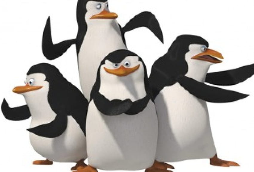 Madagascar - Pinguins, madagascar, animação, filme, pinguins papel de parede HD