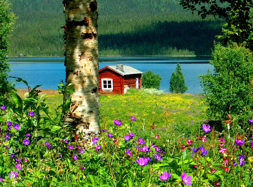 강둑 집, 강, 장소, 집, 아름다운, 잔디, 좋은, 여름, 조용한, 육지, 나무, 푸른 잎, 자연, 꽃들, 강둑, 아름다운 HD 월페이퍼