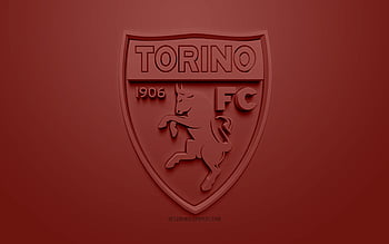 10+ Torino F.C. HD Wallpapers and Backgrounds