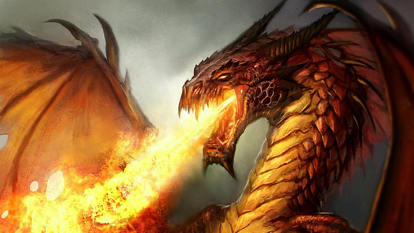 Огнен дракон, адски дракон HD тапет