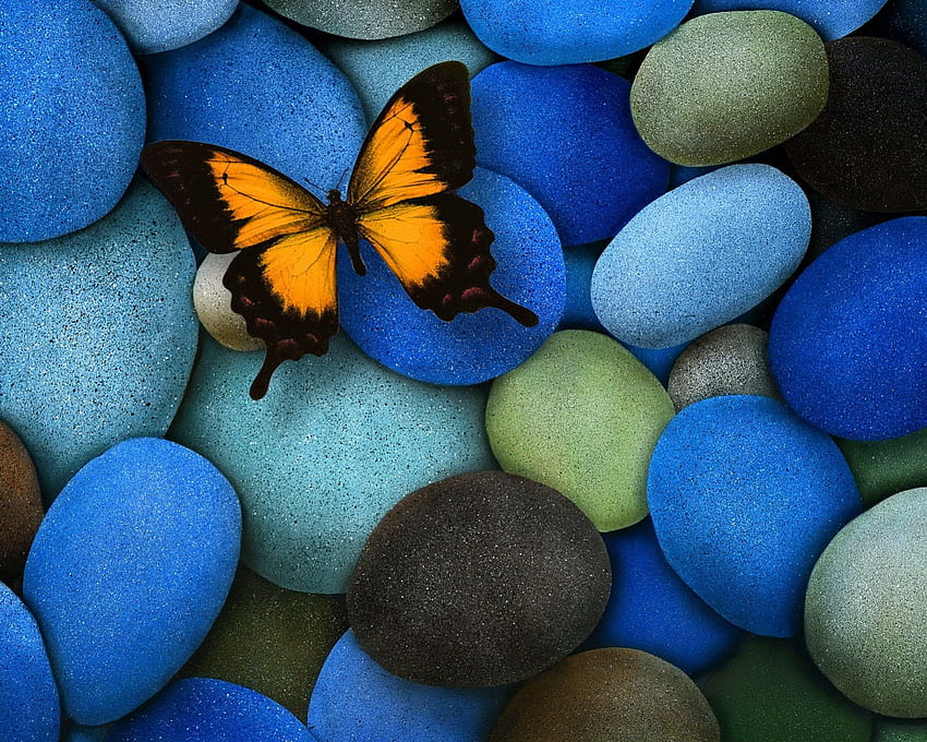 Farfalla su pietre blu, blu, natura, farfalla, pietre Sfondo HD