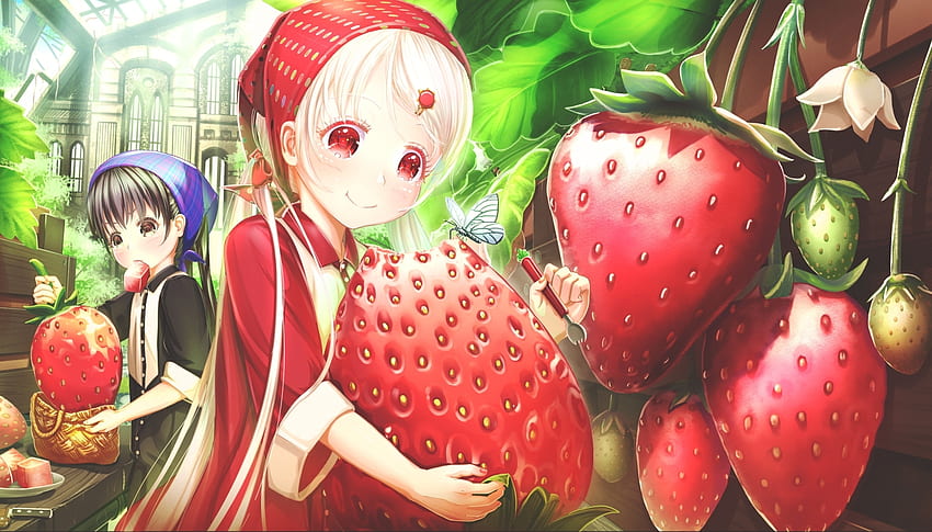 Devil Fruits Anime High Quality