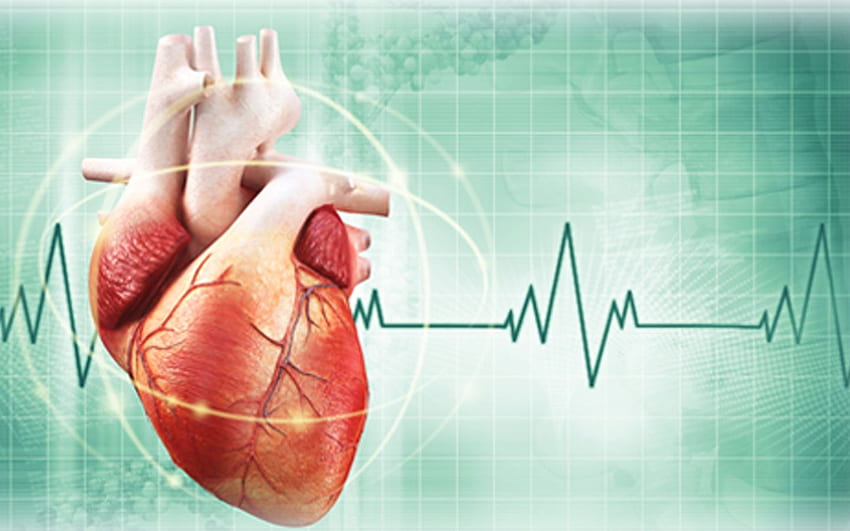 Choroby serca, układ krążenia Tapeta HD