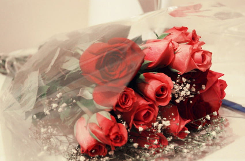 Rosas, buquê, rosas vermelhas, lindas, flores, presente papel de parede HD