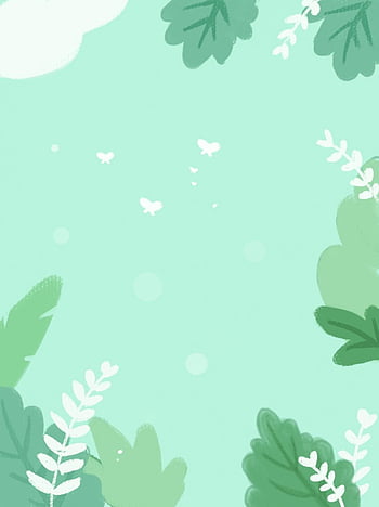Mint Green Abstract Wallpaper With Aesthetic Line Art Flower Drawing Background  Wallpaper Image For Free Download  Pngtree