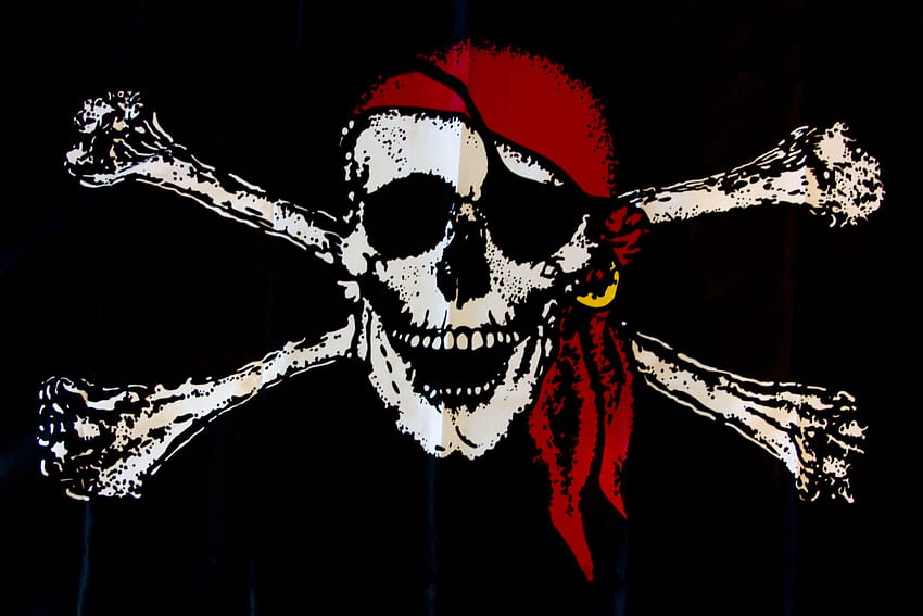Download Monkey D Luffy And Pirate Flag Wallpaper  Wallpaperscom