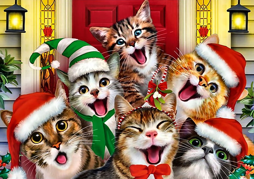 Cat Selfies F, 동물, 예술, 고양이, 고양이, 아름다운, 일러스트레이션, 삽화, 와이드 스크린, , 크리스마스, 애완 동물 HD 월페이퍼