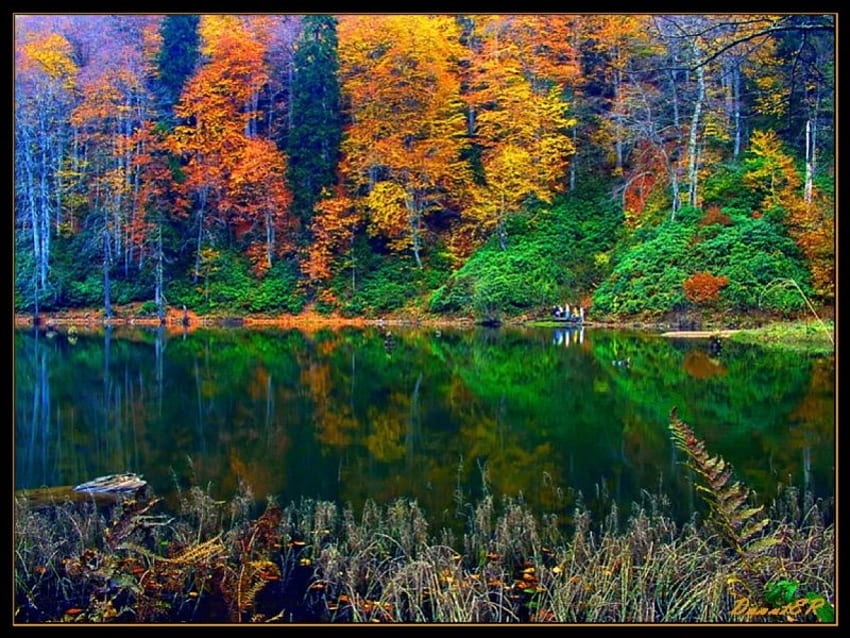 Flamme des Herbstes, Herbst, Flamme HD-Hintergrundbild
