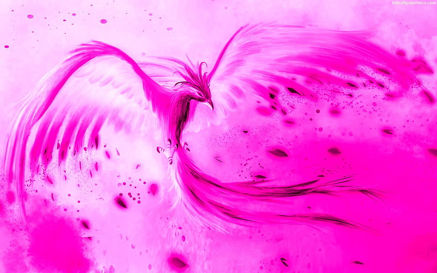 Phoenix Art - Pink Phoenix Bird HD wallpaper