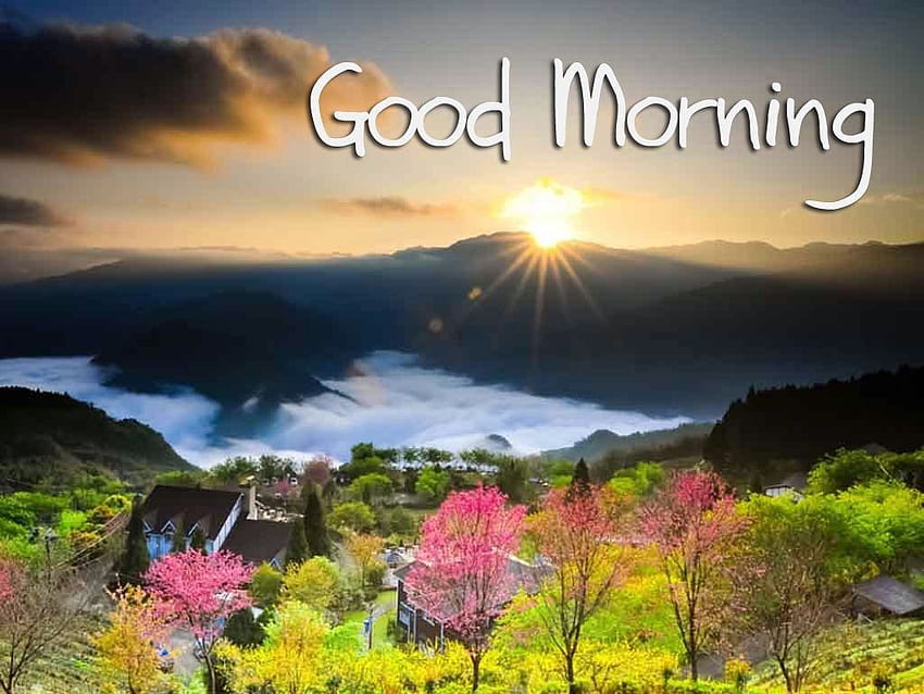 Beautiful good morning good morning wishes for [] for your , Mobile &  Tablet. Explore Good Morning Beautiful . Good Morning, Good Morning HD  wallpaper | Pxfuel