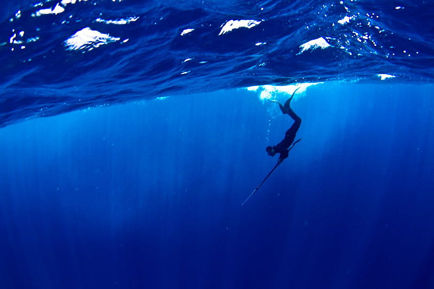 Prepararsi per il tuo primo viaggio di pesca subacquea: 3 cose da sapere e da fare. Giallo How To Sfondo HD