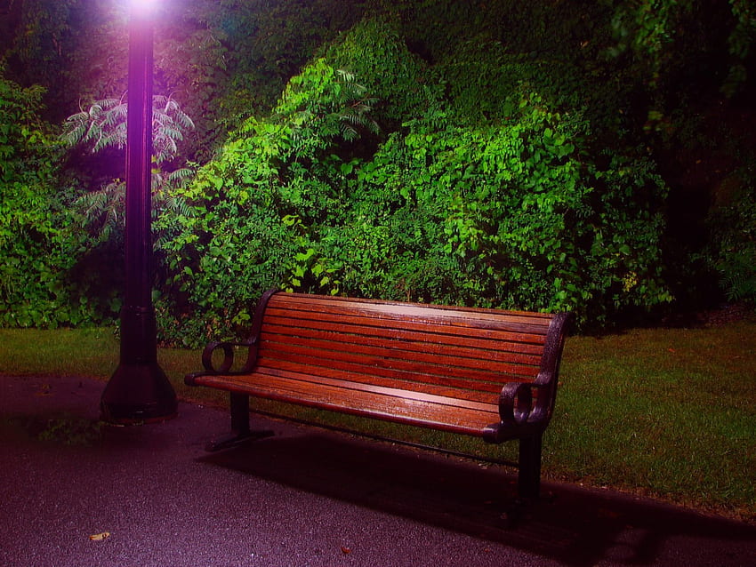 * Bench in the park *, bench, nature, park, lamp HD wallpaper