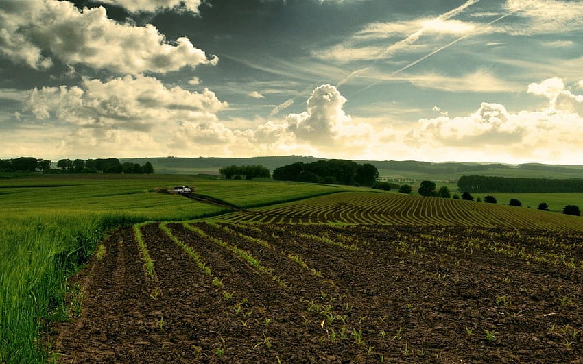 Increíble campo agrícola. Increíble campo agrícola, agricultura digital fondo de pantalla