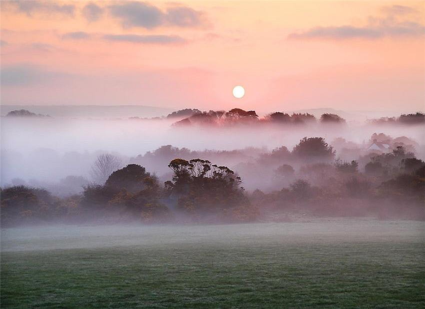 Рано утро, мъгла, розово, утринна мъгла, дървета, небе, трева, слънце, изгрев HD тапет