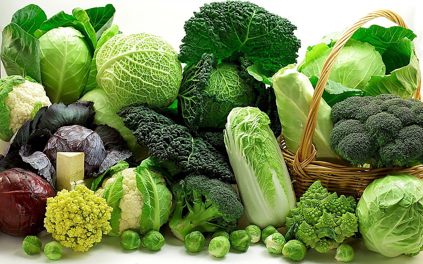 Vegetables, Cabbage, Broccoli, Cauliflower HD wallpaper