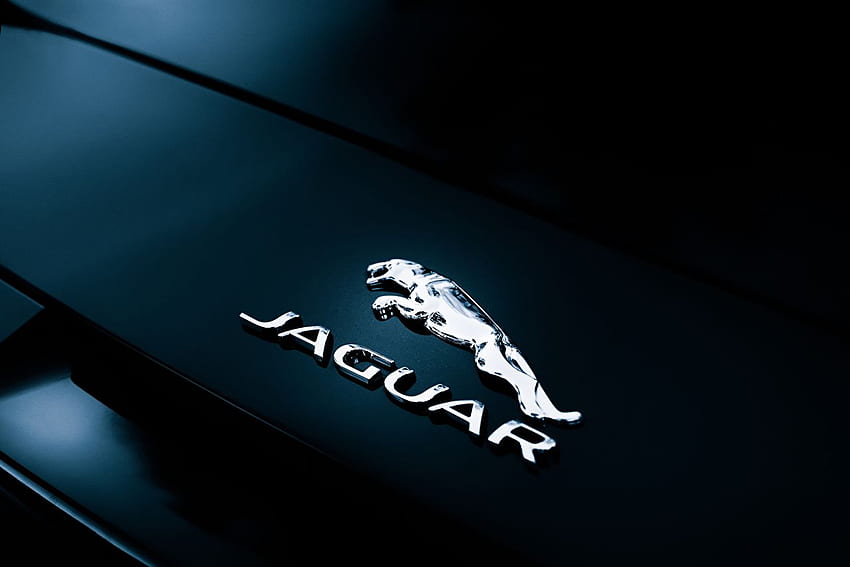 Jaguar Logo Emblem F Type Convertible Rear Badge Cars HD wallpaper