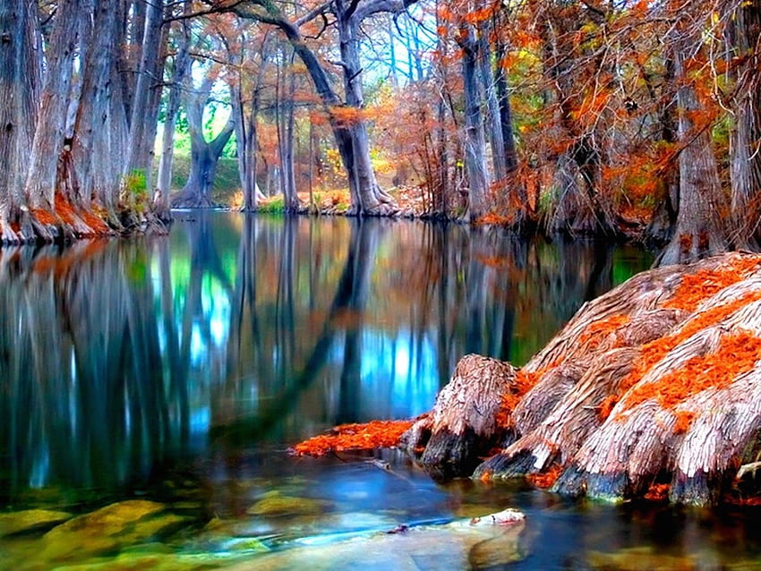Autumn Landscape, Texas Landscape HD wallpaper