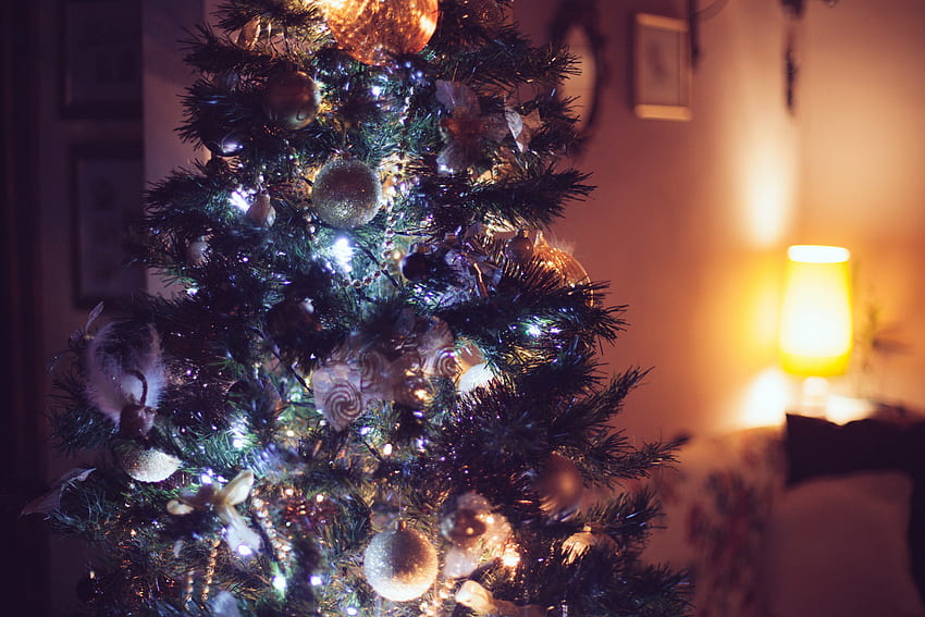 feriados, ano novo, decorações, natal, árvore de natal papel de parede HD