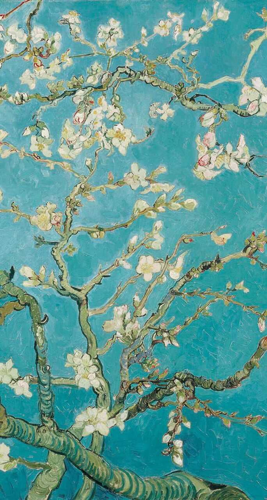 Almond blossom . iPhone . Almonds, Almond Branches Van Gogh HD phone wallpaper