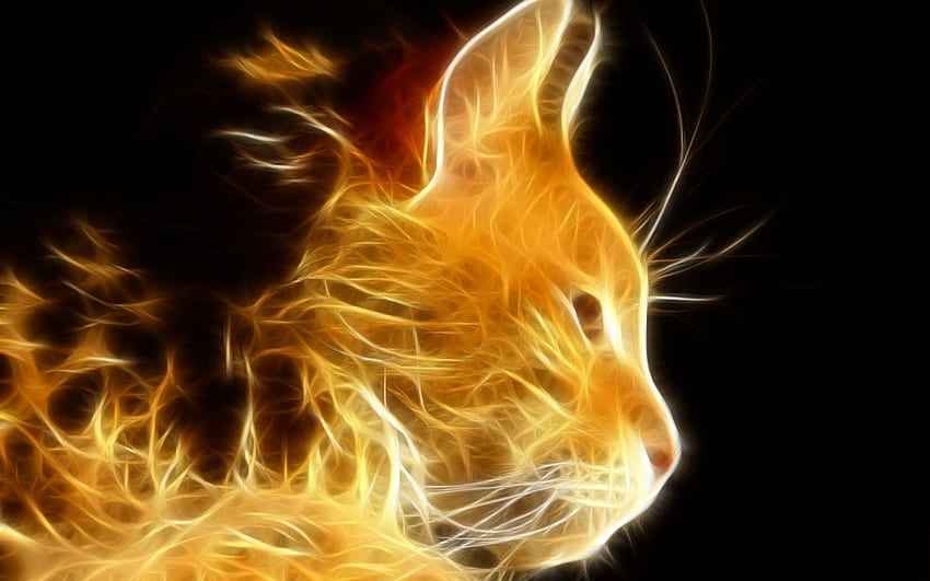 Fire Cat 901231, Kindle Fire Cat Tapeta HD