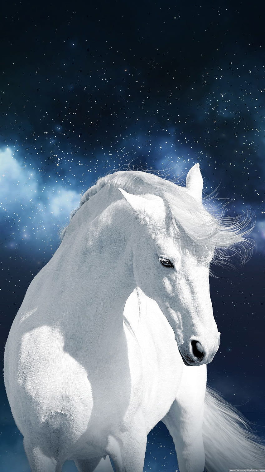 White Horse, Horse Galaxy HD phone wallpaper