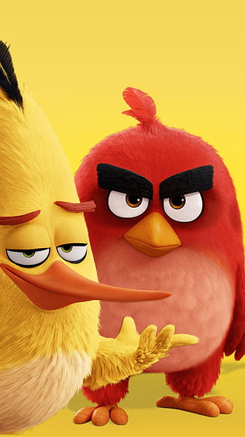 3d angry bird HD wallpapers | Pxfuel