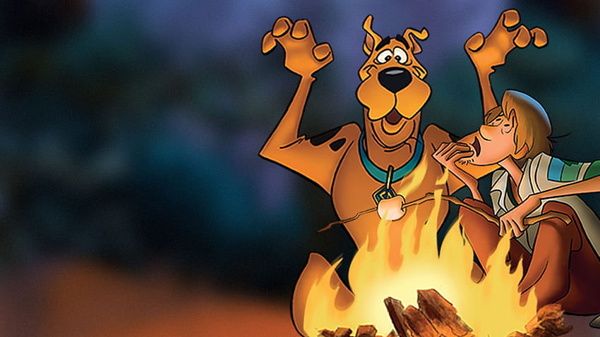 Scooby Doo Camp Menakut-nakuti, menakut-nakuti, doo, camp, scooby Wallpaper HD